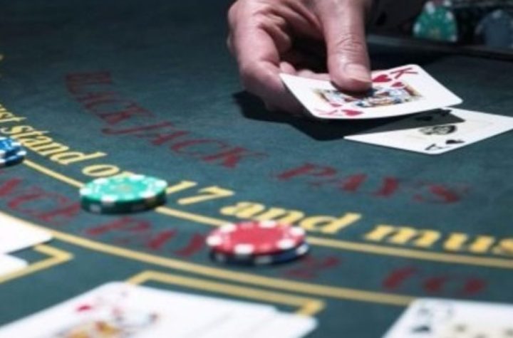 Casino Poker Software Provider Online Gaming Business